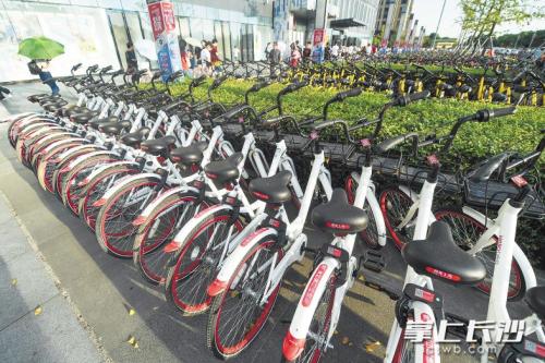 昨日下午，在開福區(qū)萬達廣場，成片的共享單車停放在廣場前坪。 長沙晚報記者 黃啟晴 攝