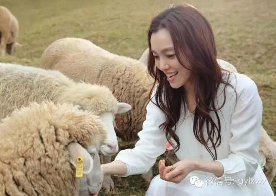 明星旅行糗事一籮筐 總有一個萌到你！