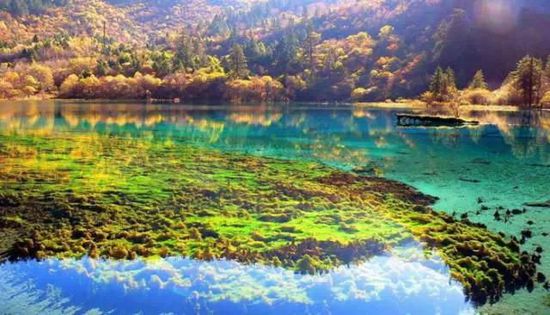 門票那么貴 沒法玩耍了！