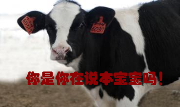 關我什么事！