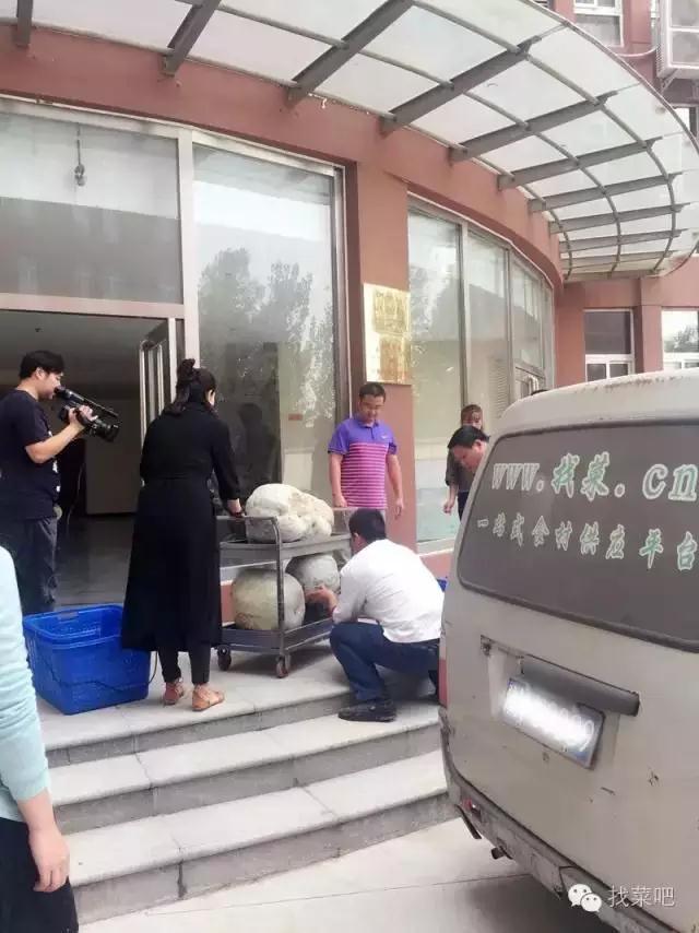 找菜網(wǎng)認(rèn)購百萬斤冬瓜，解農(nóng)戶燃眉之急