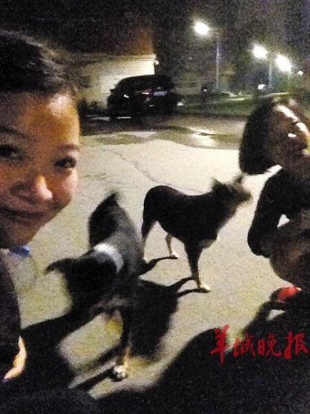 中傳兩條流浪狗常深夜護送女生 中傳兩條流浪狗常深夜護送女生