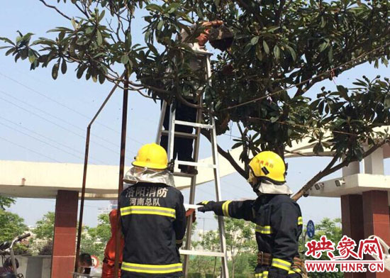 現(xiàn)場(chǎng) 現(xiàn)場(chǎng)