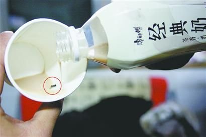 田先生喝的經(jīng)典奶茶中有一只蒼蠅。