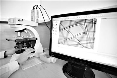 顯微鏡下，聚酯纖維很光亮，表面有斑點，粗細(xì)非常均勻。