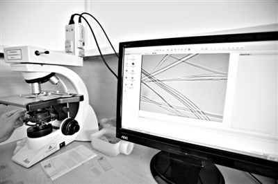 顯微鏡下，蠶絲呈現(xiàn)出表面有光澤，形狀不規(guī)則，粗細(xì)不均。