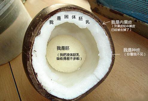 你在甜品店常吃的東西，到底都是啥？