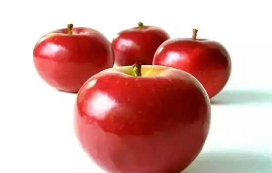 小心有毒！各種蔬果不能吃的部分