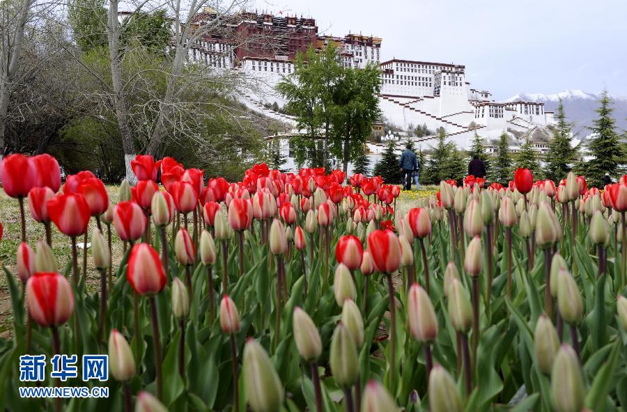 各地迎進(jìn)“五一”小長假