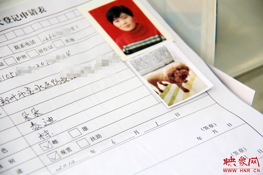 辦理狗證，需要填寫申請表