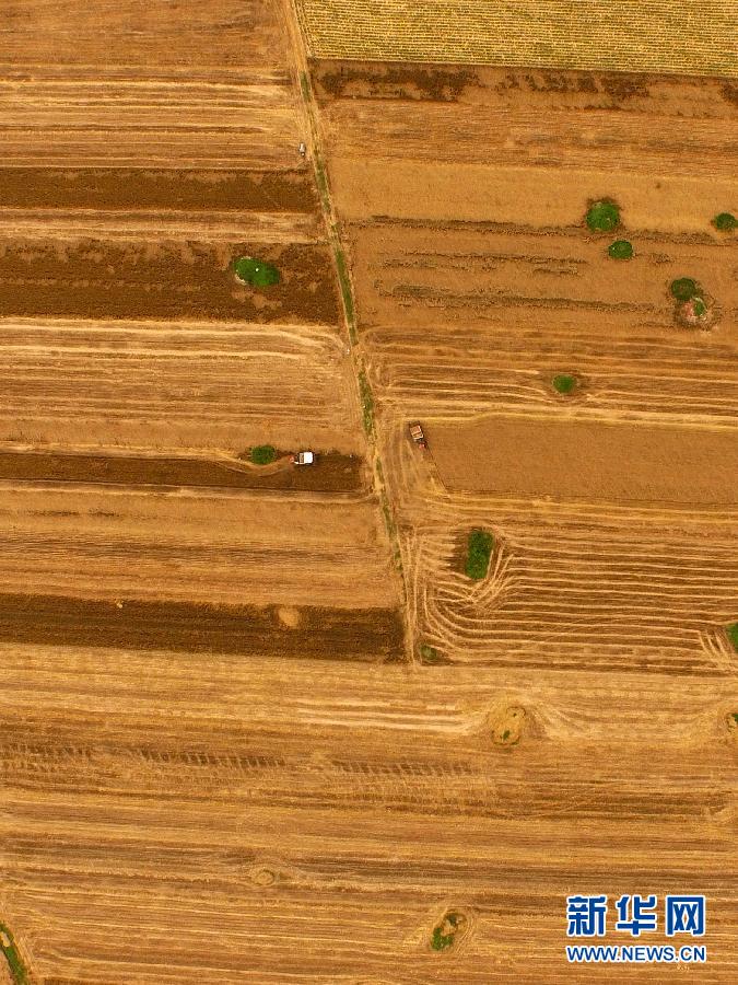 這是5月28日在河南省南陽(yáng)市唐河縣甘河灣村航拍的麥?zhǔn)宅F(xiàn)場(chǎng)。