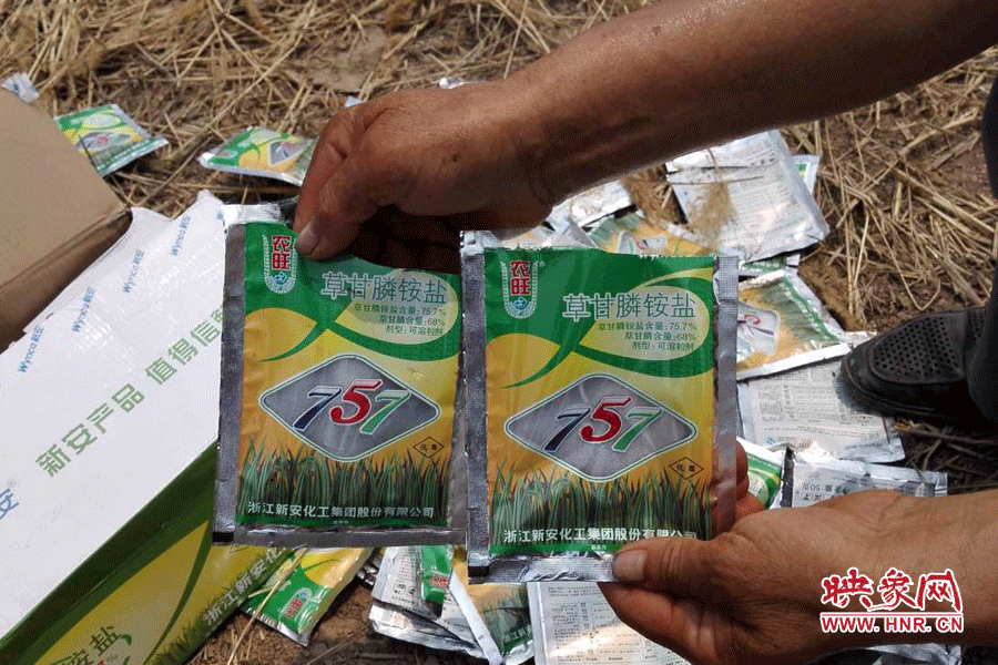 毀掉玉米的農(nóng)藥袋散落在地頭。