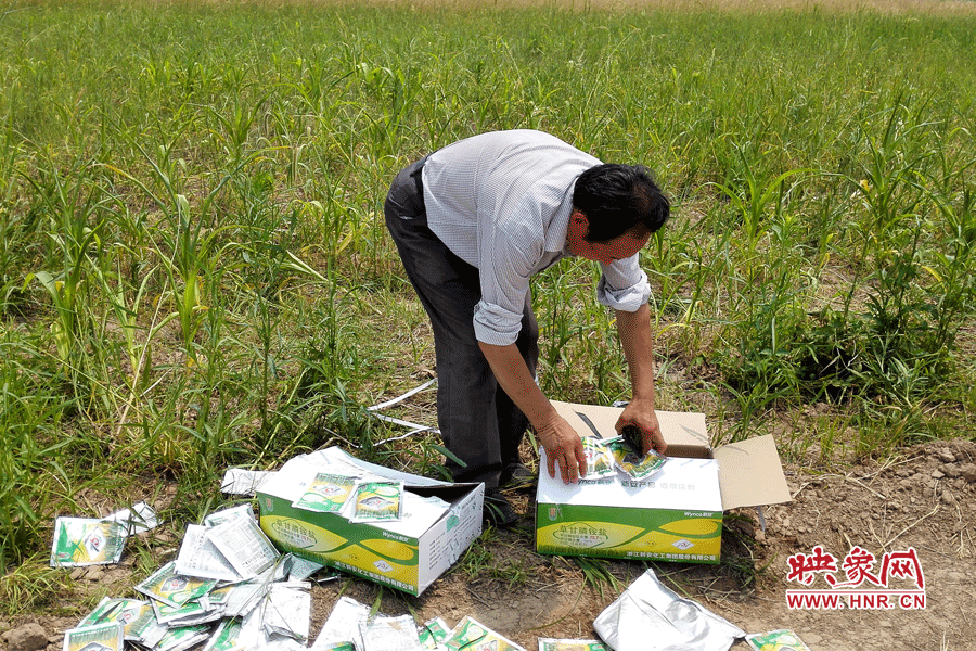 村民察看摧毀玉米的農(nóng)藥。