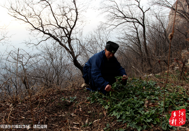 山上缺雨少水，不大的一方菜地。是他和另一個(gè)道友的菜地，老崔的蔬菜倒也擺弄的一片生機(jī)盎然。