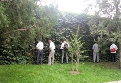 6月30日，頤和園內(nèi)綠地上，多名游客在小解。 網(wǎng)友“攝影老鬼” 攝