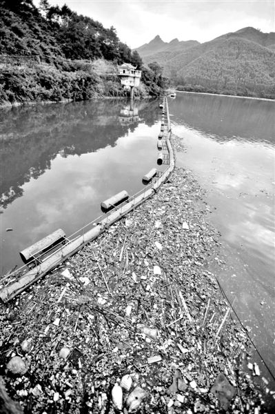 7月7日，廣西賀州市賀江合面獅段被污染的水域。據(jù)新華社