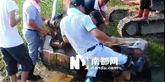 幾名戴黑帽的男子將一名老人推入水塘，后反復腳踹。