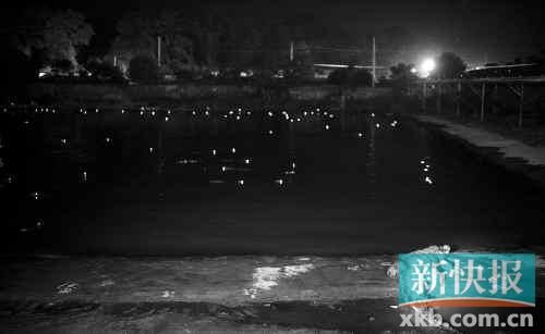 昨日，西湖村鱷魚養(yǎng)殖場已修復(fù)圍欄。