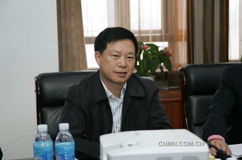 錫業(yè)集團原董事長 雷毅(資料圖) 錫業(yè)集團原董事長 雷毅(資料圖)