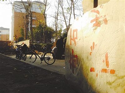 昨日，“上海奇石盆景博物館”原址上，已矗立起小區(qū)樓盤，而刻著博物館名的巨石，廢棄在一旁。本版圖片/新京報(bào)記者 張永生 攝