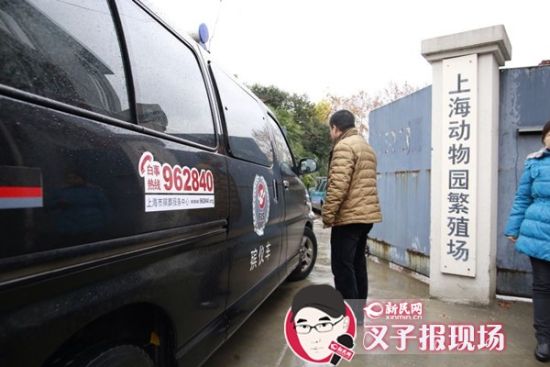 殯葬車(chē)到達(dá)現(xiàn)場(chǎng)。新民網(wǎng) 記者 蕭君瑋 攝