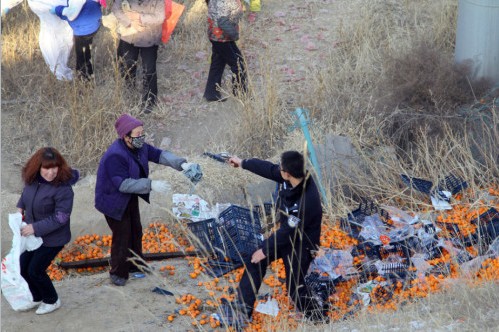 蘭州貨車側翻橘子遭百余村民哄搶，警察拔槍制止
