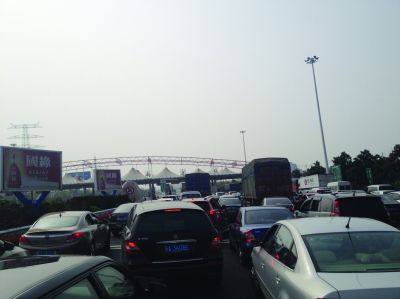 收費(fèi)站前長長排隊(duì)的車輛。陳郁