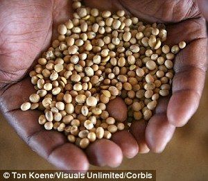 超強厄爾尼諾將引發(fā)全球極端天氣，中國北方或極端高溫-