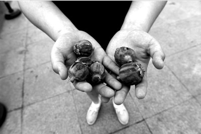 “大煙殼”輕易就可以買到。下圖：女?dāng)傊髂贸霾卦诩t色兜子里的“大煙殼”，向記者兜售。京華時(shí)報(bào)實(shí)習(xí)記者趙思衡攝