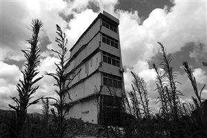 這幢5層的“片片樓”周圍已是一片拆遷后的廢墟，左邊的一堵墻上，不少鋼筋裸露在外面 圖片來源：新華網(wǎng)