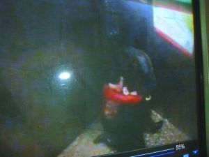 男子將侯某撲倒，侯某反抗。