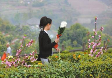 四川男子搬家弄丟安葬證 5年未給爺爺上墳 四川男子搬家弄丟安葬證 5年未給爺爺上墳