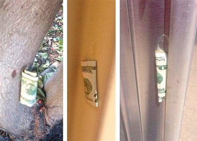 “隱藏的鈔票”會被神秘人藏在公園、廁所等“奇怪的地方”。