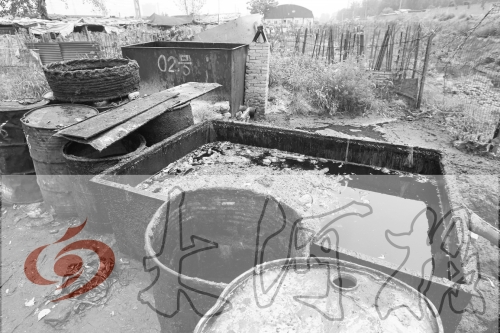 　　骯臟、令人作嘔的油桶凌亂地擺放在院子里，為了避免視覺刺激，我們把它做成了黑白圖片。