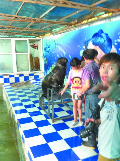 海獅館內的攝影師警惕性很高,禁止記者拍照。