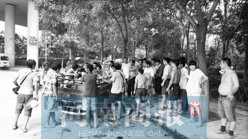 北環(huán)南陽路立交橋下，瓜農(nóng)小秦被打后，附近瓜農(nóng)紛紛圍了上來