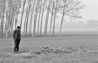 11月21日，高松中站在腦癱雙胞胎兒子墳前。