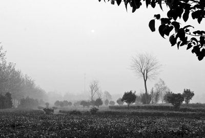 3月26日上午8點(diǎn),鄭大新校區(qū),濃濃的霧霾埋沒了大好春景。