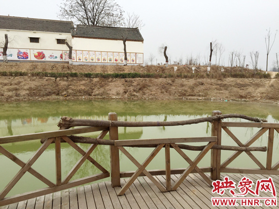 護(hù)欄損毀的地方，已經(jīng)被兩根樹干擋住。