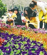 近距離才能拍得更真切。