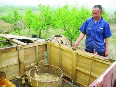 弟弟趙文富向記者介紹他們養(yǎng)雞的地方。