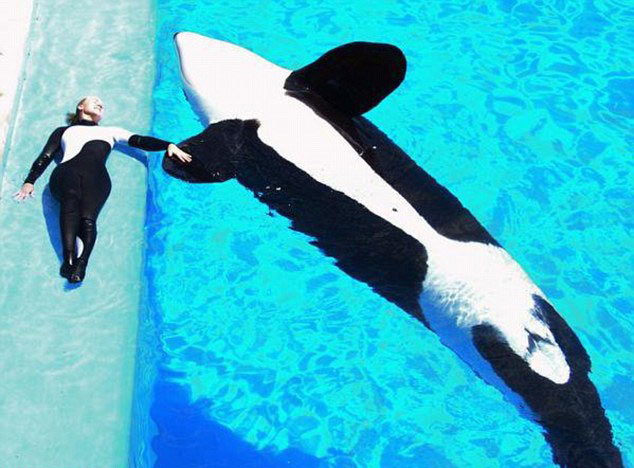 "美人魚(yú)情侶"的唯美愛(ài)情 "美人魚(yú)情侶"的唯美愛(ài)情