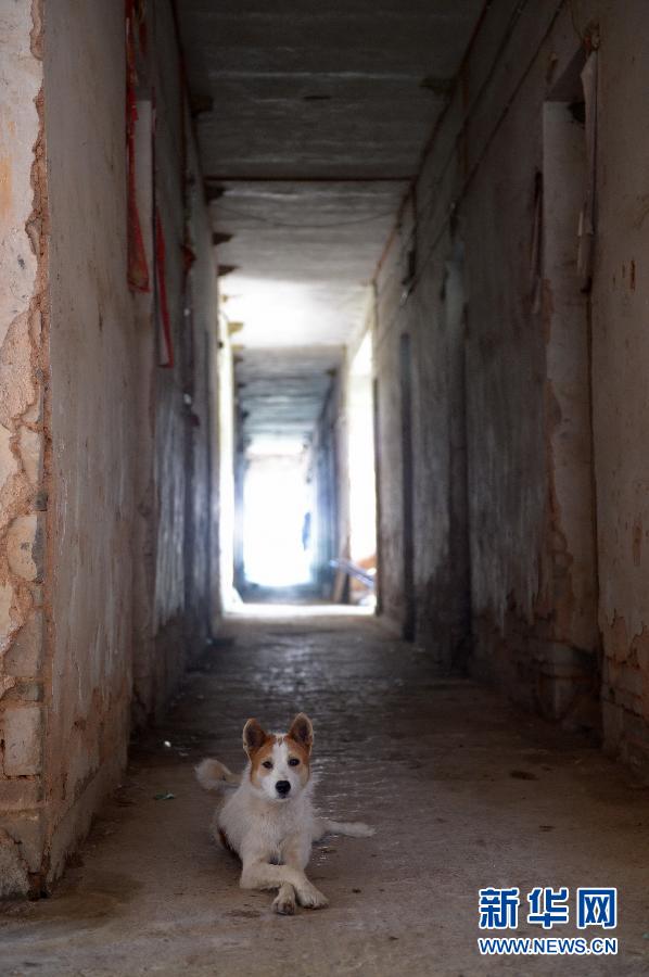 農(nóng)場棚戶區(qū)的最后留守家庭：留下的是回憶，迎來的是幸福