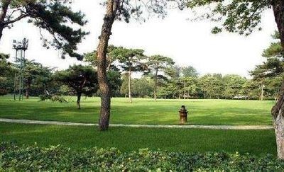 釣魚臺(tái)國賓館草坪