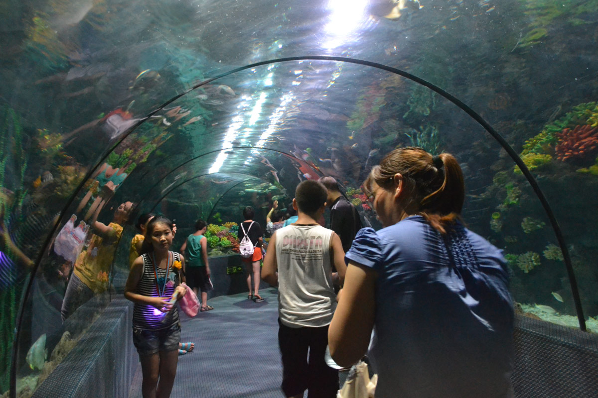 春節(jié)去哪兒？出游地圖告訴您！