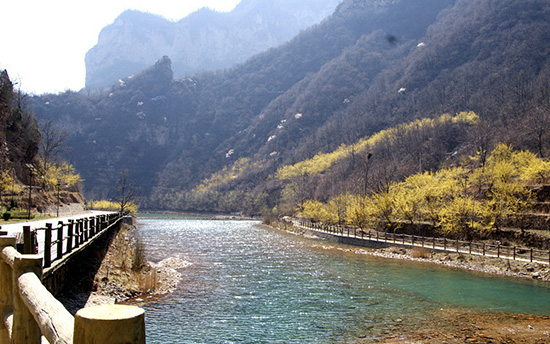 有一種呼喚，叫春天里的蟒河！