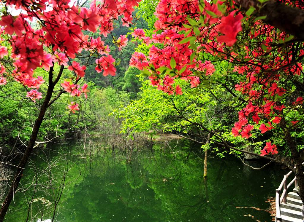 母親節(jié)河南景區(qū)優(yōu)惠大波來(lái)襲！