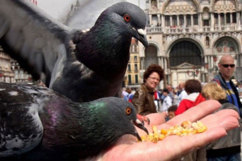 別人地盤(pán) 異國(guó)旅游不進(jìn)警察局的妙招 別人地盤(pán) 異國(guó)旅游不進(jìn)警察局的妙招