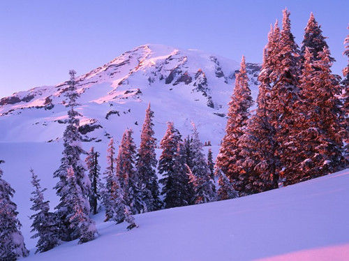 華盛頓，雷尼爾山