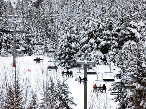 阿拉斯加，阿里耶斯卡